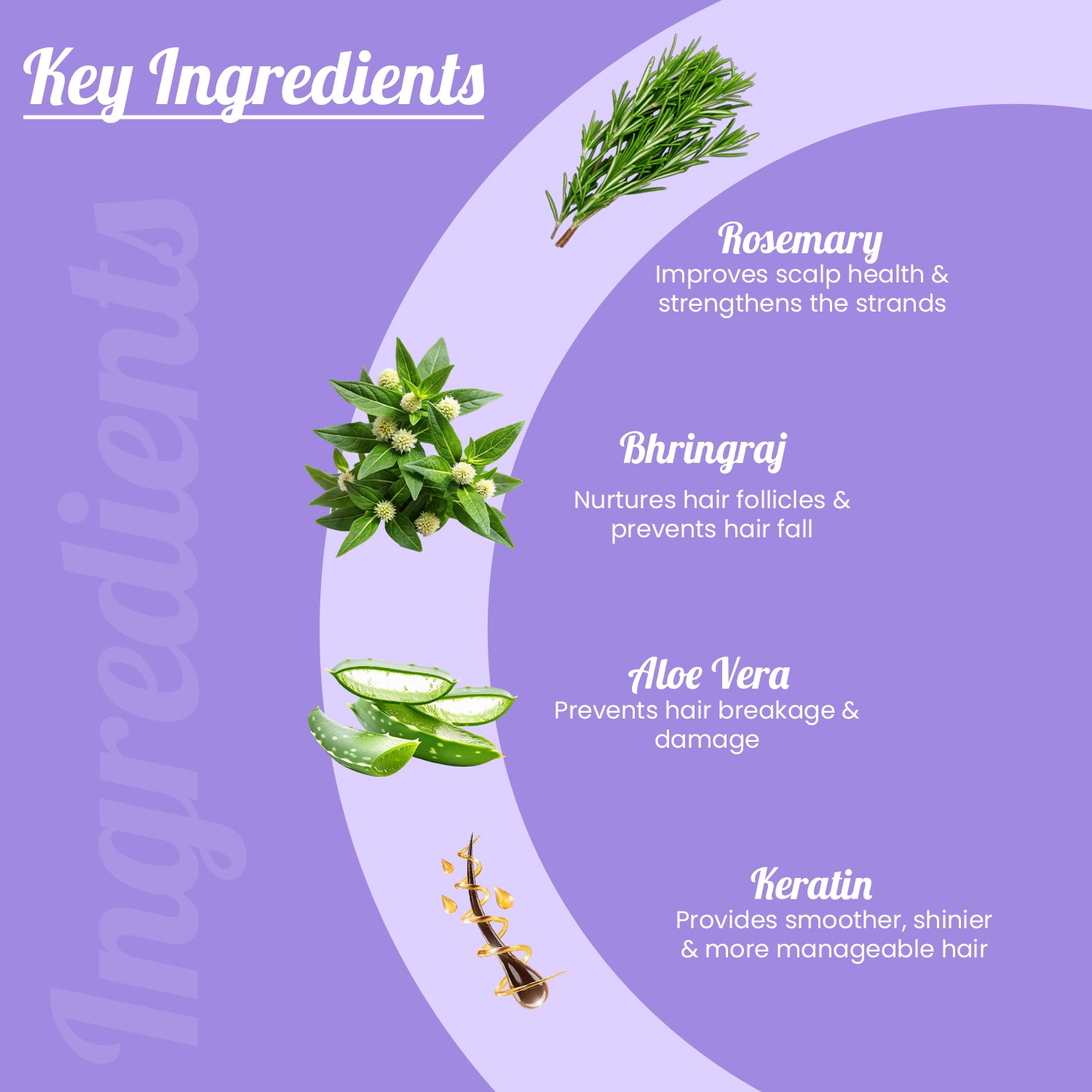 TLC365 Rosemary Shampoo 250 ml + Rosemary Conditioner 150 ml