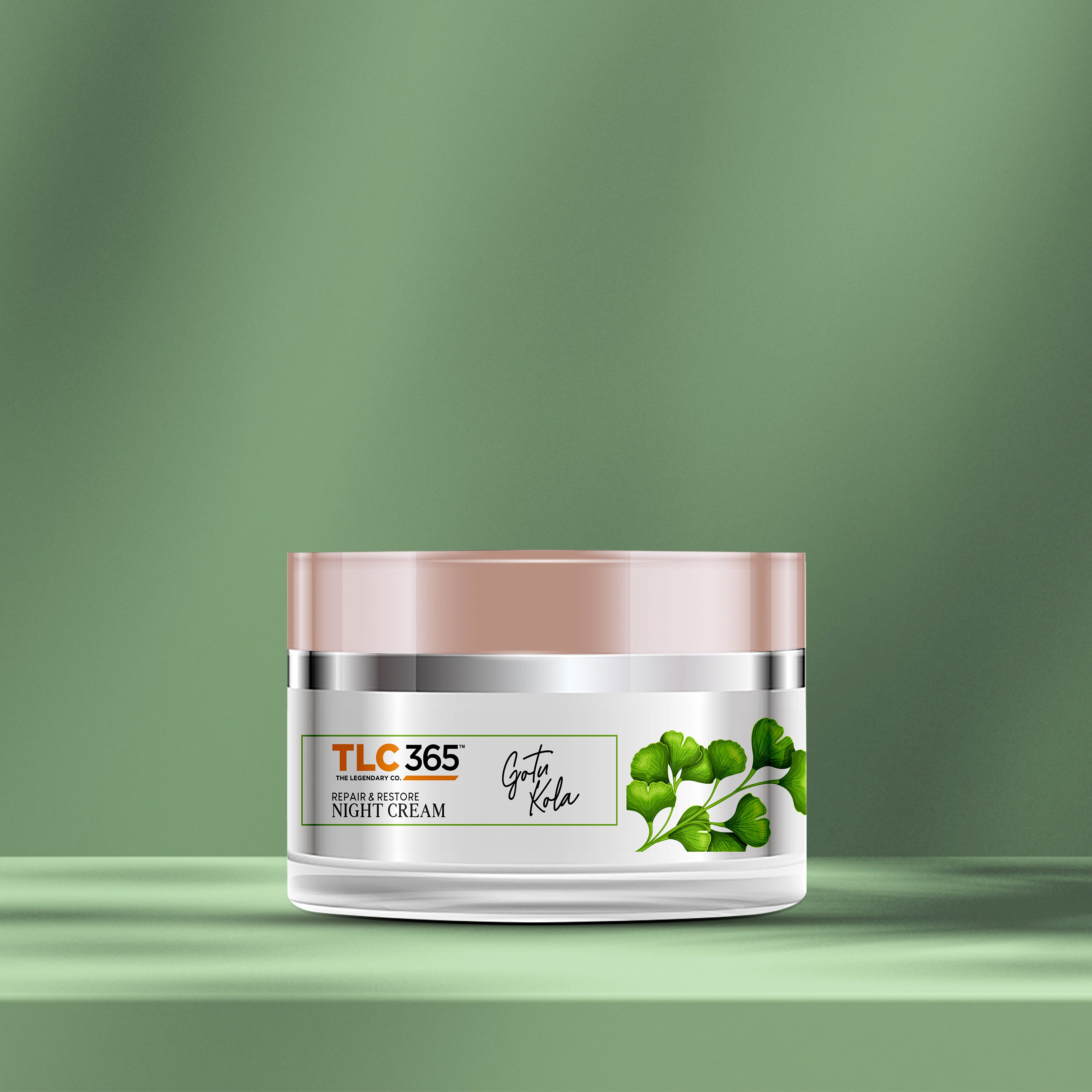 Gotu Kola Anti Ageing Night Cream with Vitamin A and Niacinamide for Collagen Boost