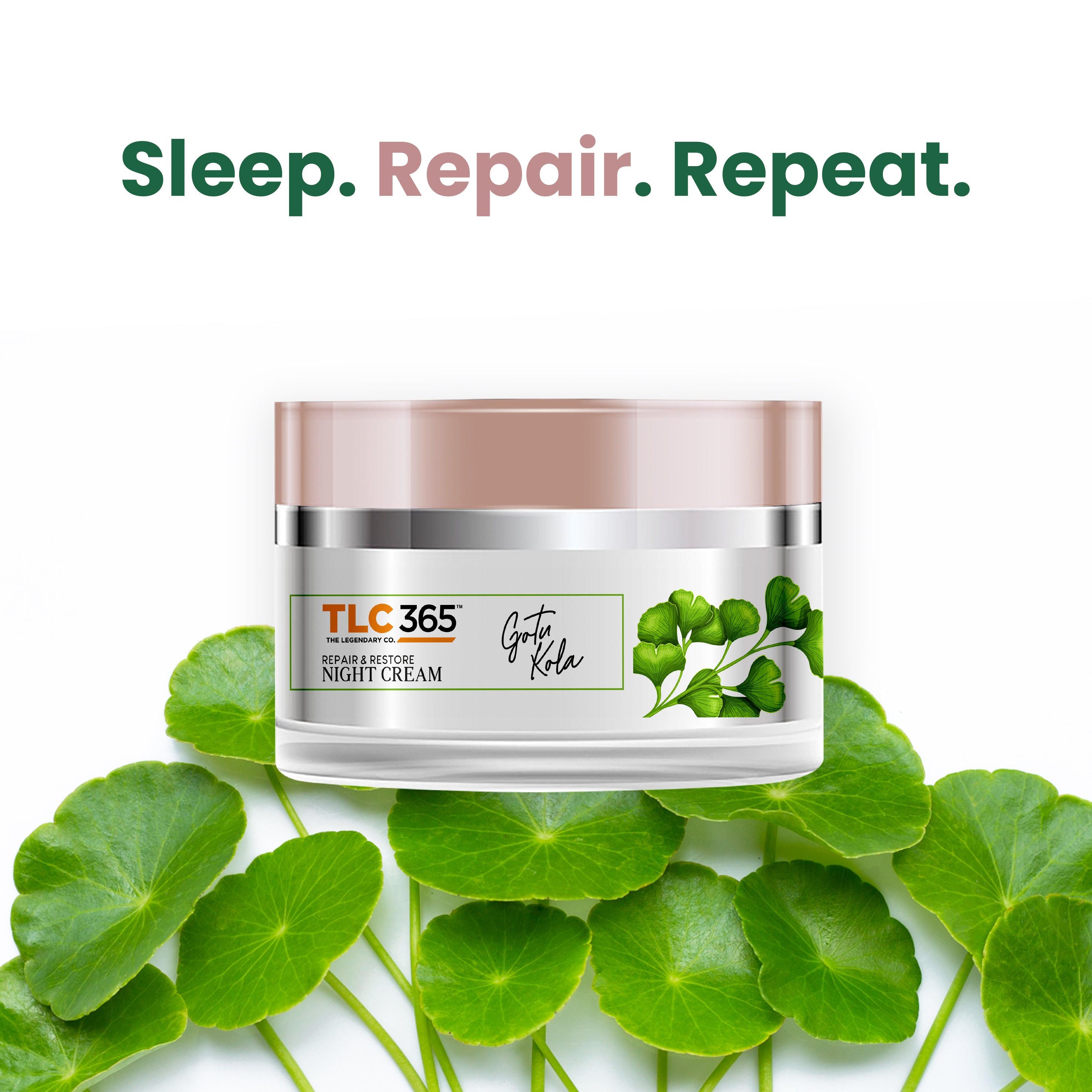 Gotu Kola Anti Ageing Night Cream with Vitamin A and Niacinamide for Collagen Boost