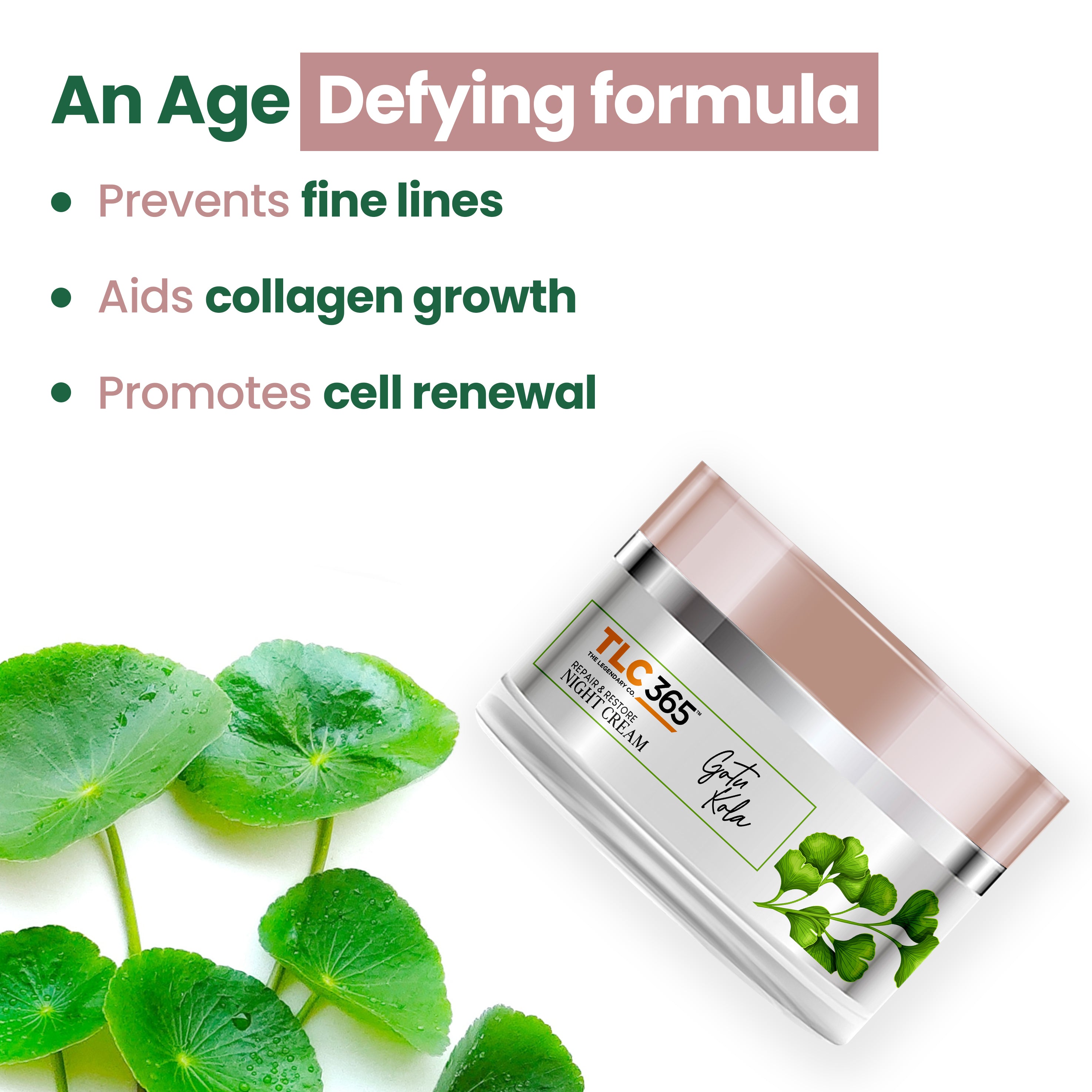 Gotu Kola Anti Ageing Night Cream with Vitamin A and Niacinamide for Collagen Boost